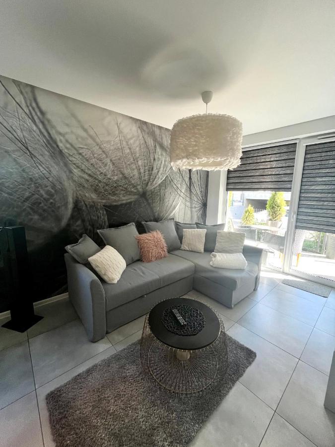 Apartament Mniszek 코워브제크 외부 사진